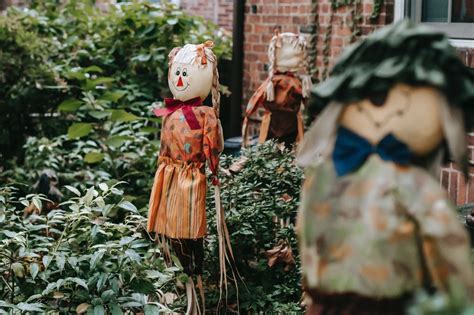 How do I make a scarecrow for my garden? | - Protocol Online