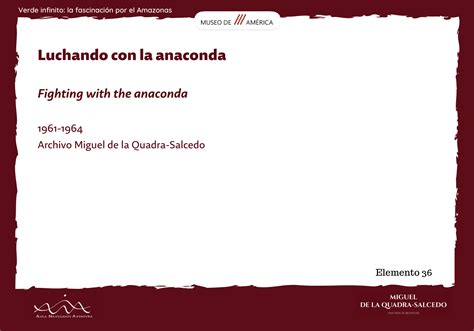 Miguel De La Quadra Salcedo Luchando Con La Anaconda E Expedici N