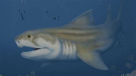 Three new ancient shark species discovered in Alabama and Kentucky