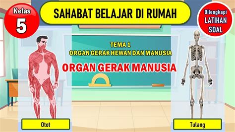 Membuat Brosur Kesehatan Organ Gerak Manusia