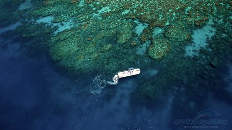 Green Island Great Barrier Reef Tour Cairns Australia Great