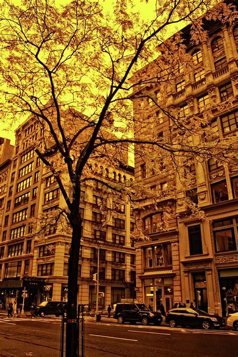 Autumn Over 5 Avenue N Y C Photograph By Nick Difi Fine Art America