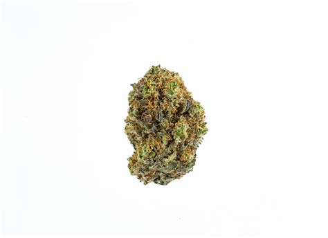 Purple Rhino (AA) | DoobDasher - Buy Weed Online