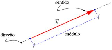 Conceito de vetor Análise e conceito de vetor Mundo Educação