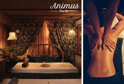 Προσφορά Animus Massage Gooddeals