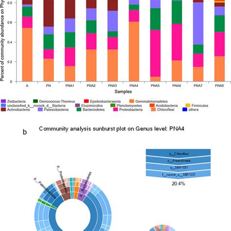 Community Abundance On Phylum Level During Different Phases A And