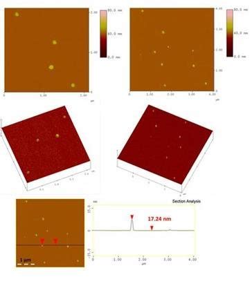 Representative Afm Height Images Top D Morphology Middle And