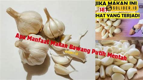 Temukan 9 Manfaat Makan Bawang Putih Mentah Jarang Diketahui Solider