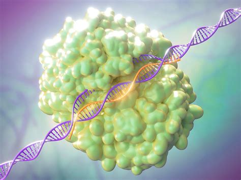 Crispr Cas9 Gene Editing Complex Bild Kaufen 12489562 Science