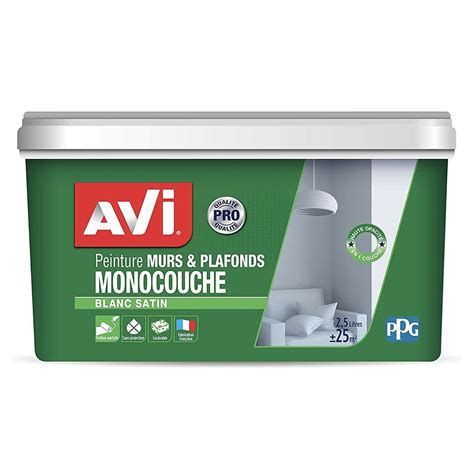 Peinture Murs Plafonds AVI Monocouche Blanc Satin Pas Cher