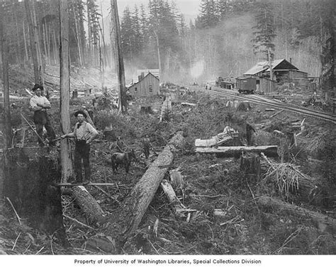 Photos A Tale Of The Northwests Logging Past