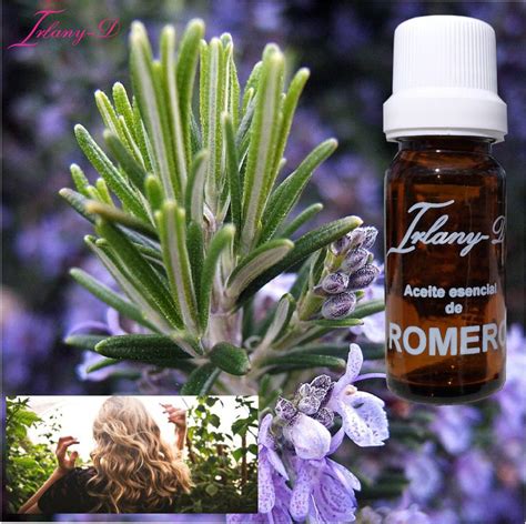 Romero Para El Cabello Eliminar Manchas Arrugas Y M S