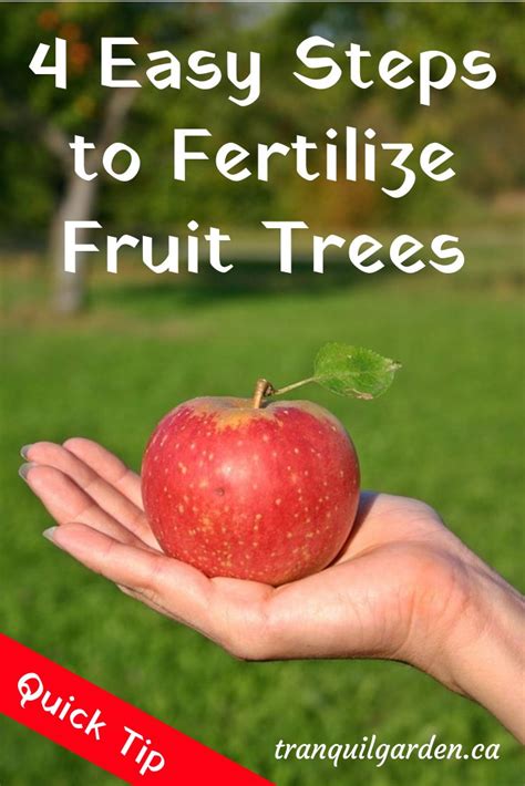 Fruit Tree Fertilizer How To Make And Apply Homemade Fertilizer