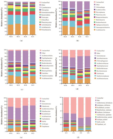 Agronomy Free Full Text Effect Of Root Knot Nematode Disease On