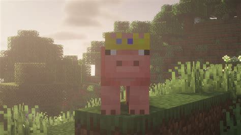 Pig Crown Texture Pack Minecraft Texture Pack