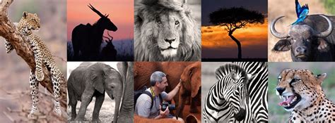 AMYS SAFARIS — YS Wildlife Photography