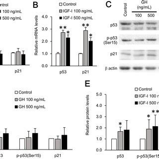 Telomere Length In Human Fibroblasts With Gh And Igf I Treatment A B