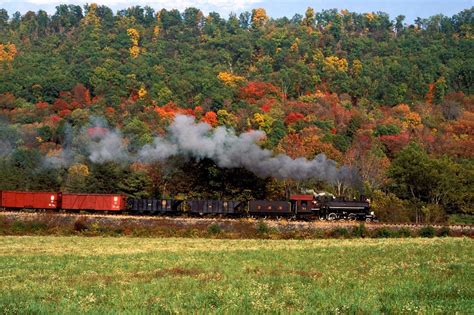 nature, Train, Trees Wallpapers HD / Desktop and Mobile Backgrounds