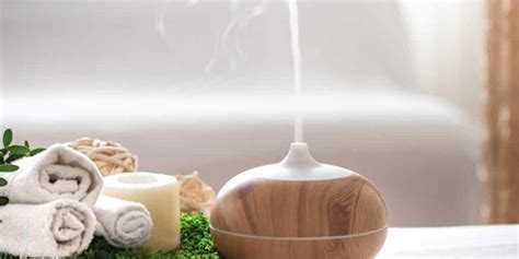 Know The Difference Between Humidifier And Diffuser In Hindi