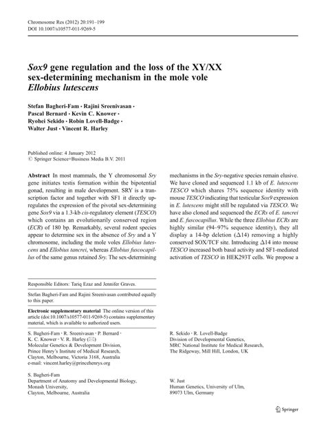 Pdf Sox Gene Regulation And The Loss Of The Xy Xx Sex Determining