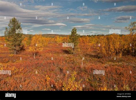 View from E8 Stock Photo - Alamy