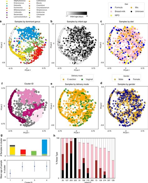 Bacterial Samples Cluster According To Composition And Infant Age But