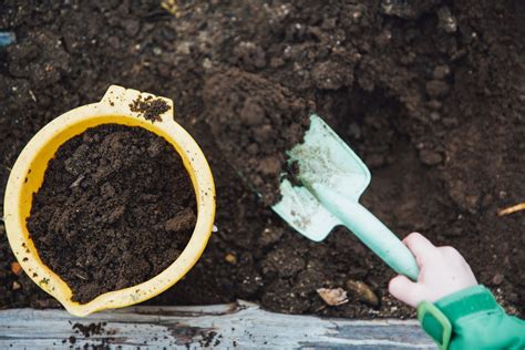 Biochar 101 How To Enrich Your Compost With Biochar Fleet Farming