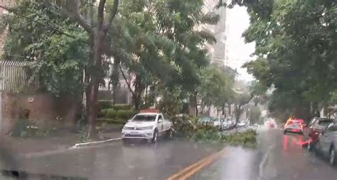 Chuva Granizo Derruba Rvores E Causa Alagamentos Em S O Paulo