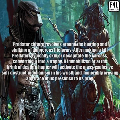 The Predator Yautja 20 Thrilling Facts Fanboy 4 Life