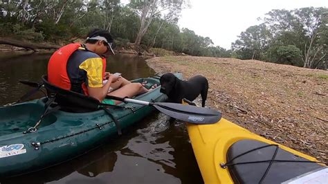 Ovens River Kayaking Camping Warby Ovens National Park YouTube