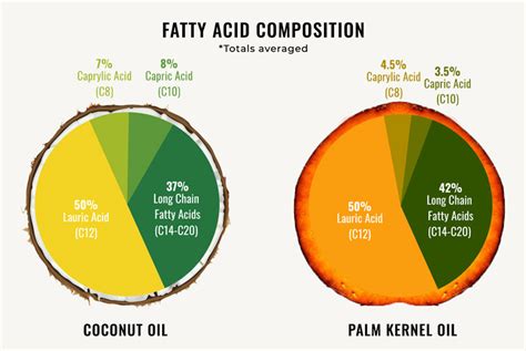 Coconut Vs Palm MCT Oil MCT Oil And MCT Powder Supplier