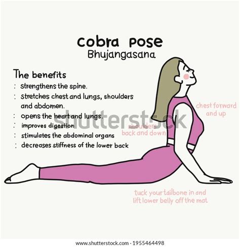 Details 76 Benefits Of Cobra Pose Yoga Super Hot Nanoginkgobiloba Vn