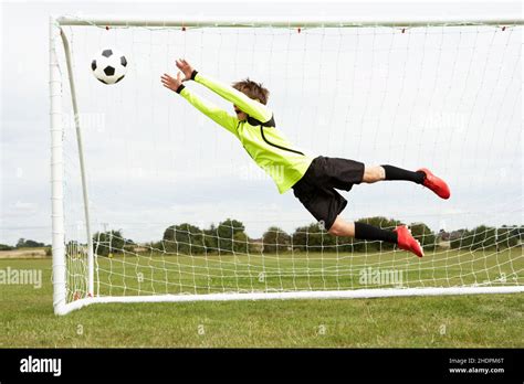 Goal Keeper Goaltending Goal Goal Keepers Goalie Goals Stock Photo