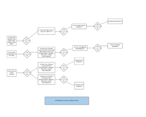 Approach To Incomplete Spinal Cord Injury | PDF | Human Diseases And ...