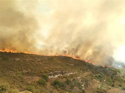 Authorities Responding To Large Fire In Paphos District In Cyprus