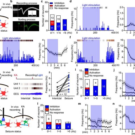 Optogenetic Stimulation Of Chr2 Expressing Astrocytes Download