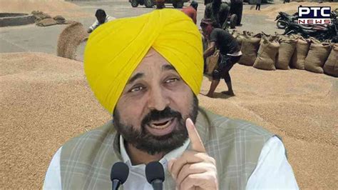 Centre Relaxes Quality Norms For Wheat Purchase In Punjab Imposes