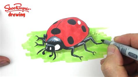 How To Draw A Cute Ladybug Ladybird Youtube