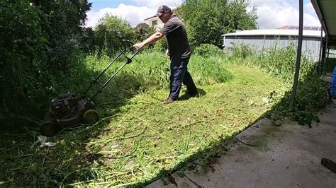 Overgrown Yard Clean Up Time Lapse Mowing Overgrown Lawn Tall Weeds