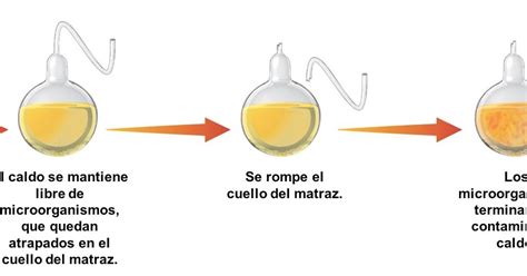 Magic Science Experimento De Pasteur