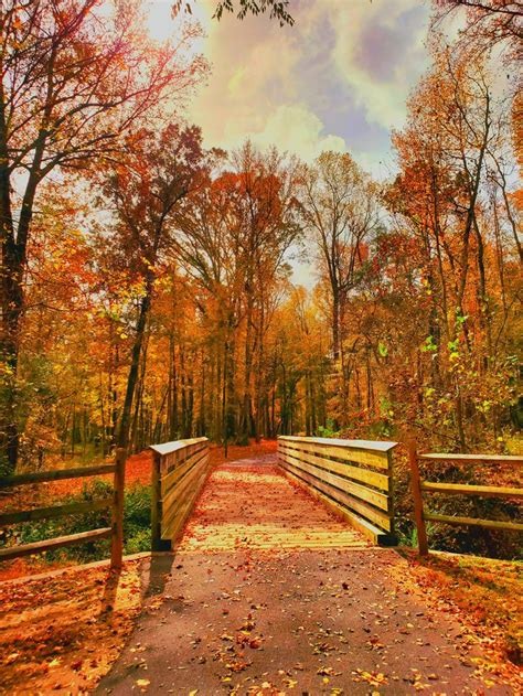 Rock Hill Park Catawba Riverwalk Trail 🍁👌🤗🍂😍🍁 Beautiful Destinations