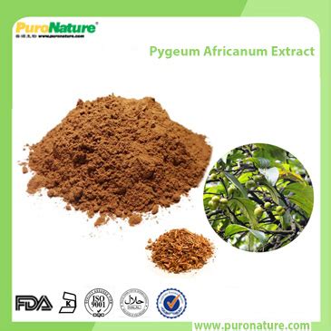 Pygeum Africanum Extract - Xi'an PuroNature Biotechnology Co.,Ltd