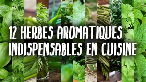 Herbes Indispensables En Cuisine Partie I Youtube