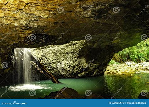 Puente Natural En El Parque Nacional De Springbrook En Queensland