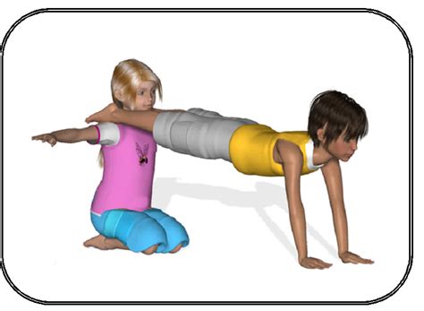 L'acrosport en maternelle - 20 fiches pour mener une séquence d