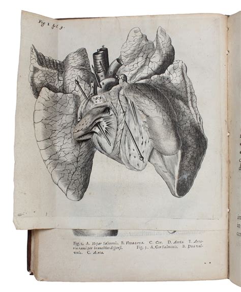 Man And Citizen Thomas Hobbess De Homine 4