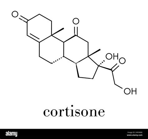 Molécula De La Hormona Del Estrés De La Cortisona Fórmula Esquelética