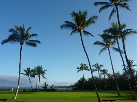 Maui Travel Guide - Plan Your Maui Vacation | Hawaii.com