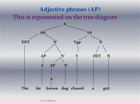 The Noun Phrase Presented By Rawia Aljehani Cell Wall Diagram Black And White