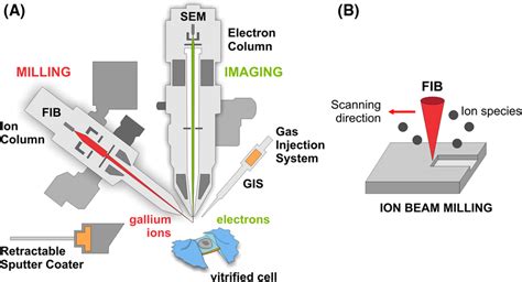 Operating Principle Of A Cryo Fib Sem All Steps Relevant For Lamella